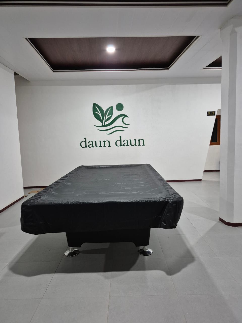 Pool Area - Downstairs